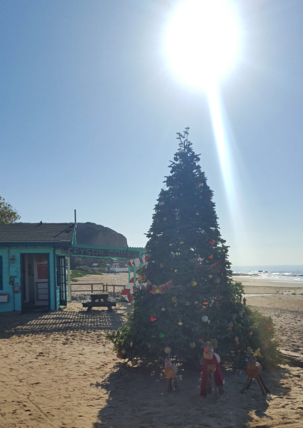 ciao! newport beach a day in crystal cove