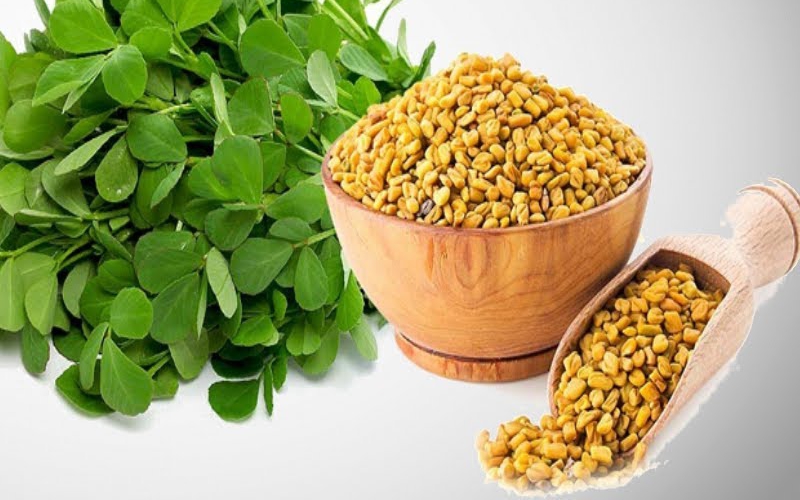 Methi Seeds Benefits In Hindi andre
