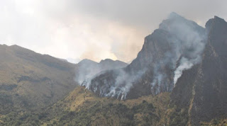 Perú: Incendios afectaron 2 500 hectáreas de áreas naturales protegidas