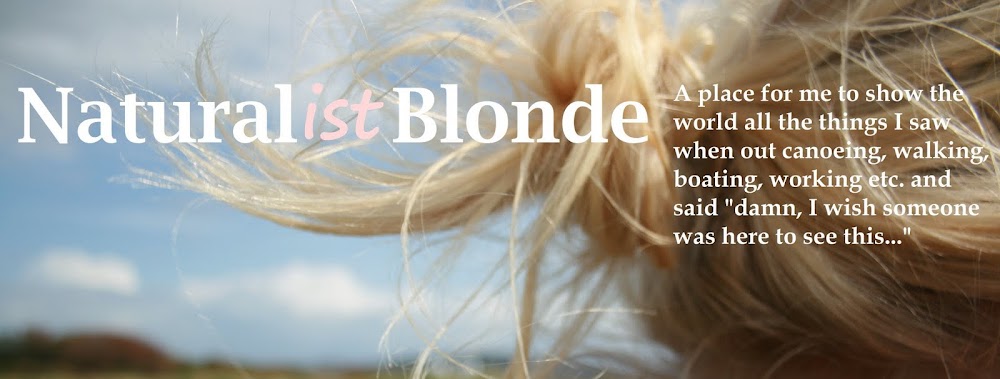 Natural(ist) Blonde