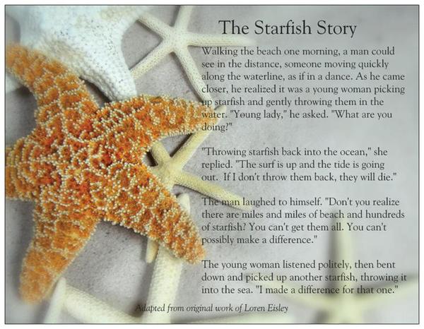 What You Didn't Know About Starfish