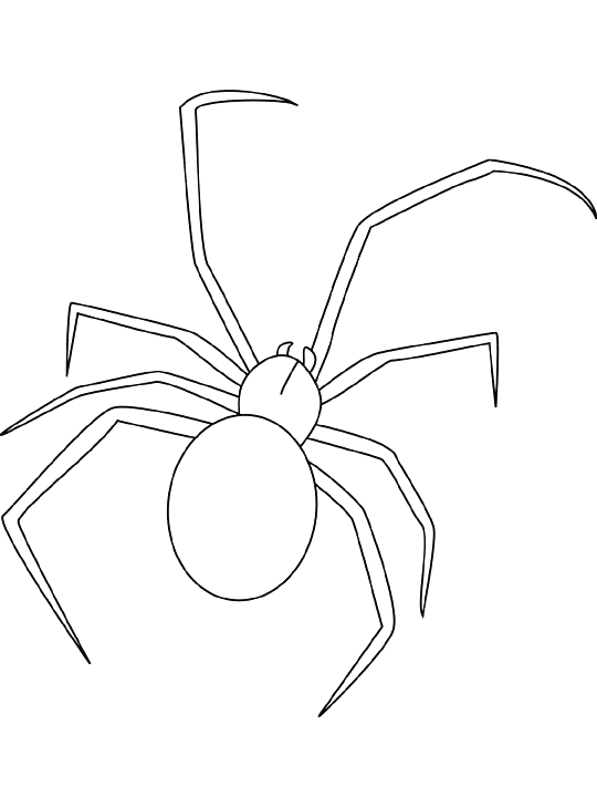 Bibliophile Mystery April 2019