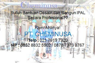 Mr. Anggi dari Cheminusa