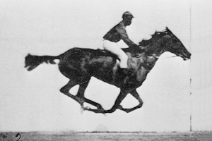 Eadweard Muybridge galloping horse animatedfilmreviews.filminspector.com
