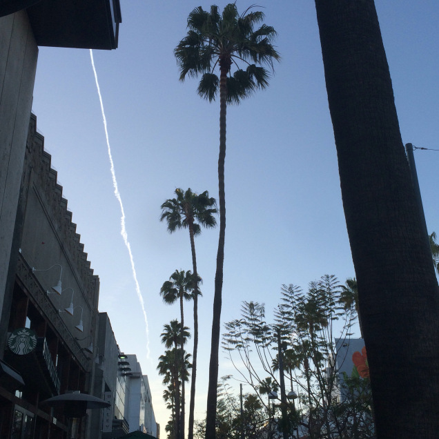 50 Days of No Grey - Santa Monica 50 Days of No Grey - Santa Monica