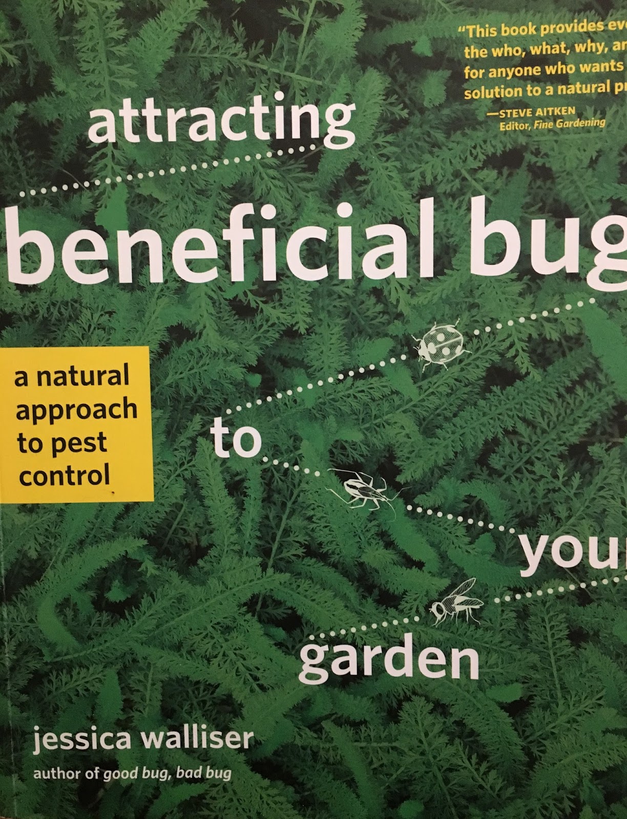 The Minnesota Rose Gardener The PesticideFree Rose Garden