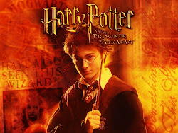 harry potter wand his segredos camara dos orange wallpapers gossips scandals affairs hollywood celebrity entertainment many stars chamber secrets