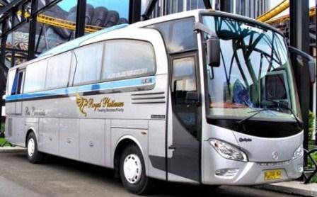 Sewa Bus Pariwisata Murah Royal Platinum