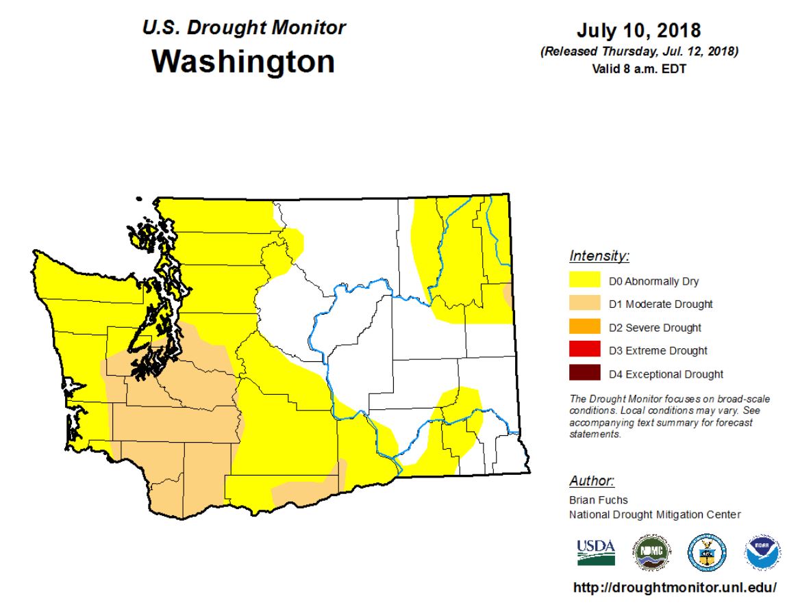 Washington Department of Ecology Watching the water supply