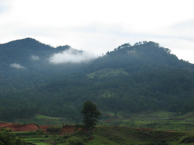 Lang Biang Montagnes, Dalat - Photo An Bui