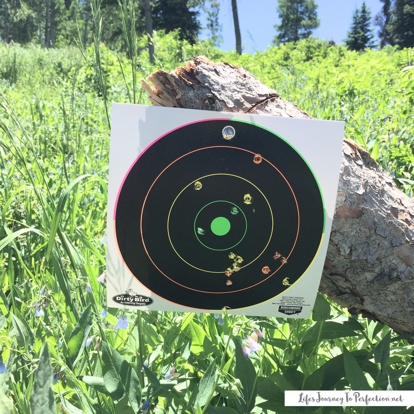 Life's Journey To Perfection Father's Day Gift Ideas Any Dad Would LOVE!