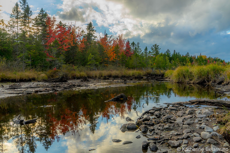 Fall Colors Things to Do in Moosehead Lake Maine