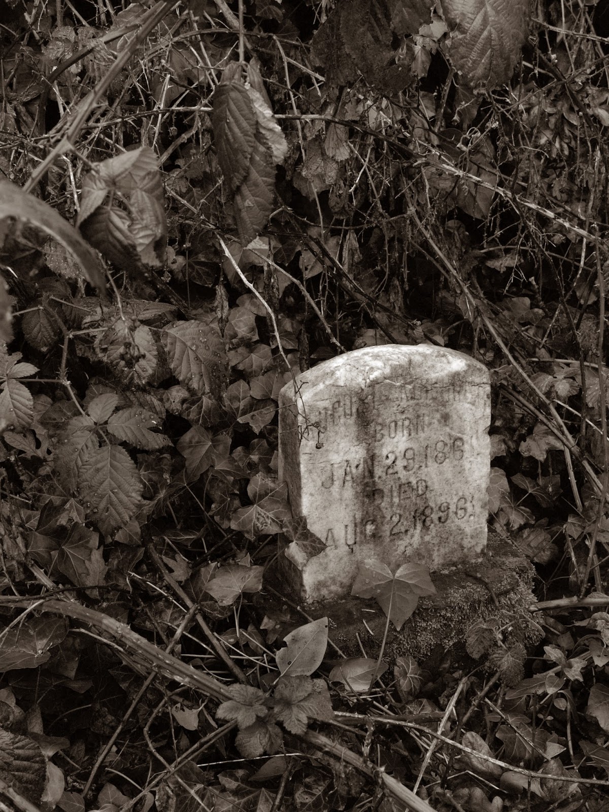 Pacific Northwest Pierce County Potter's Field,