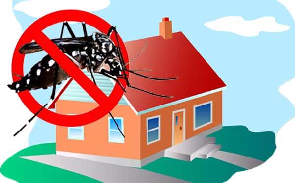 7 Cara Mengusir Nyamuk Agar Pergi Jauh Dari Rumah Dapur Modern 7 Cara Mengusir Nyamuk Agar Pergi Jauh Dari Rumah Dapur Modern