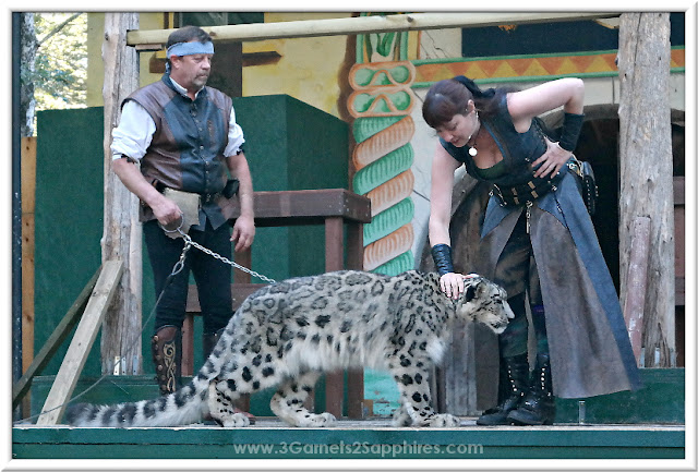 The Great Cats World show at King Richard's Faire 2015 #krfaire