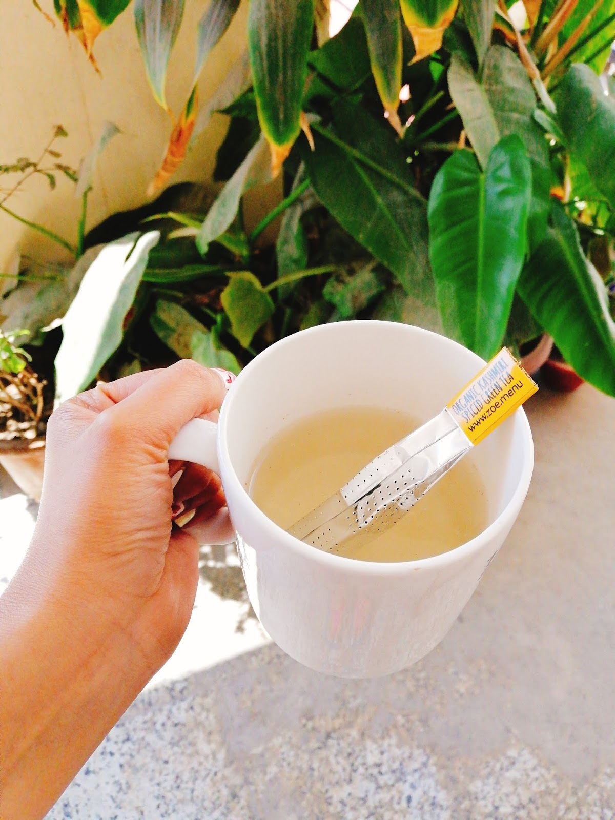 Zoe One Month Detox Weight Loss Program Review