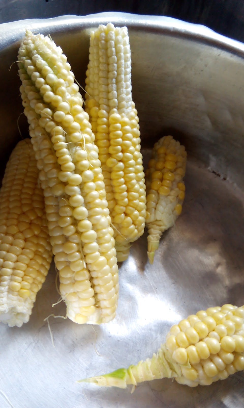 Belajar-Bertanam-tanaman: Buah kecil