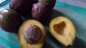 Cara Membuat Ice Cream Alpukat