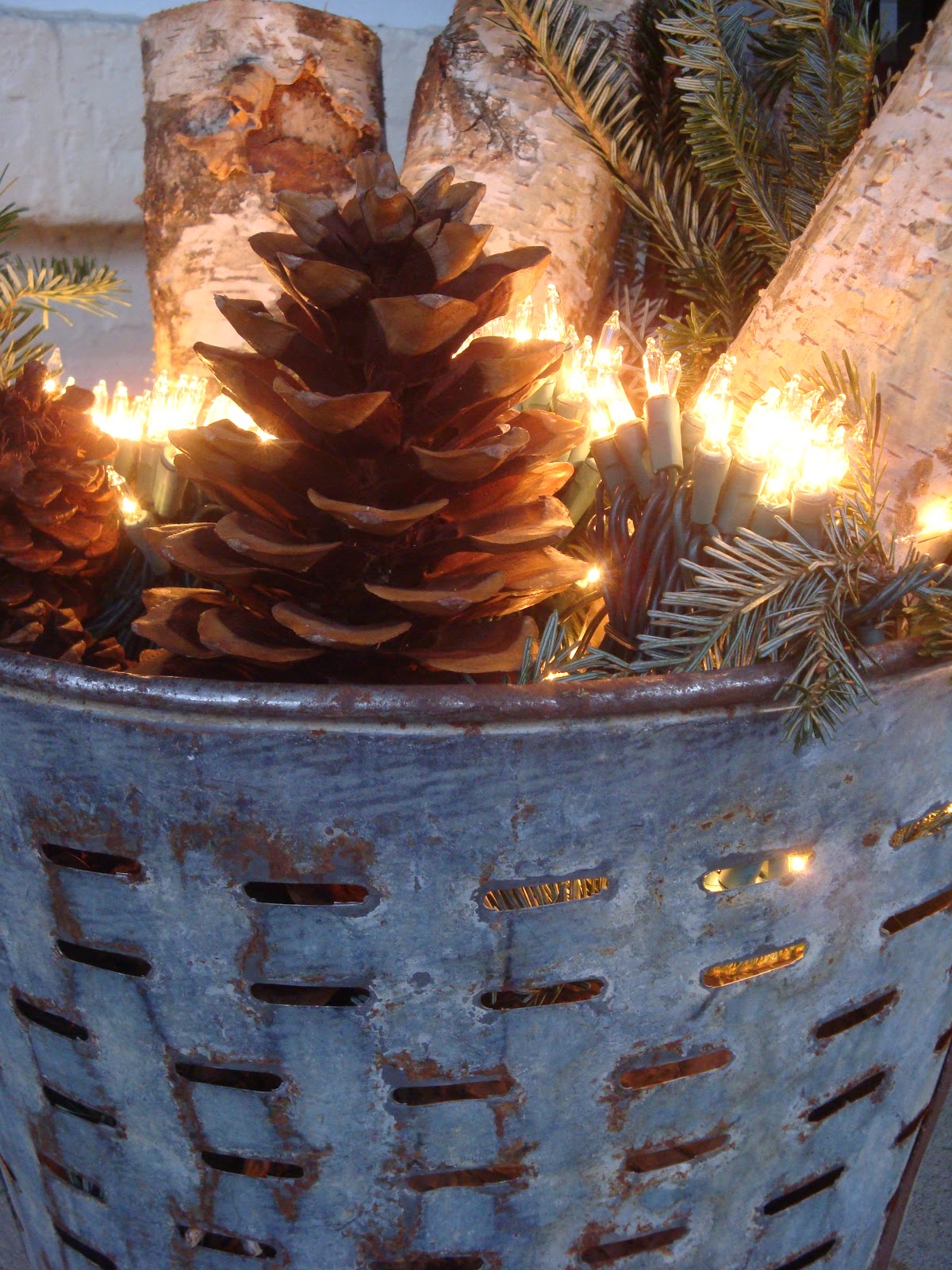 The Polohouse Birch Decor