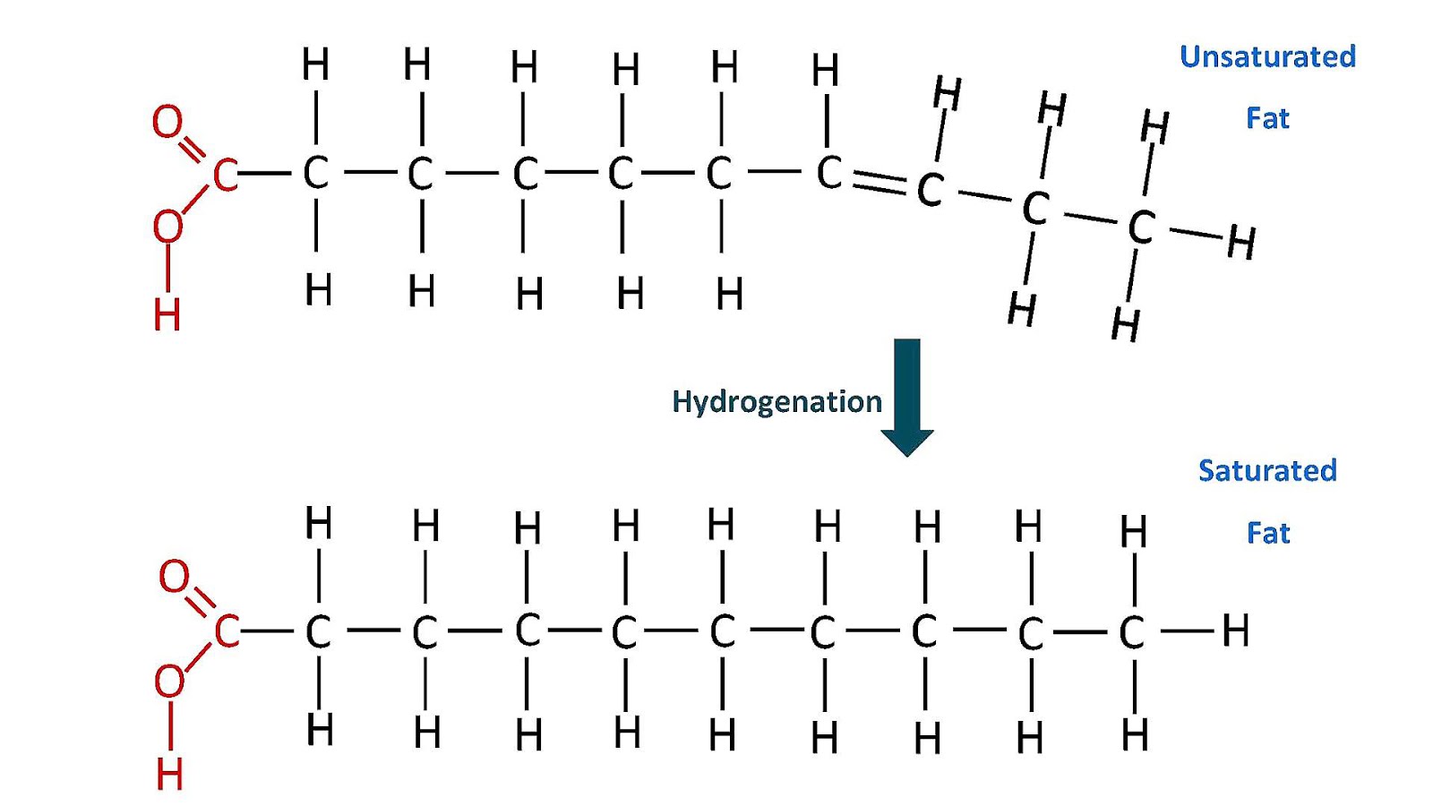 Hydrogenation Hydrogenated Vegetable Oil Vege Choices
