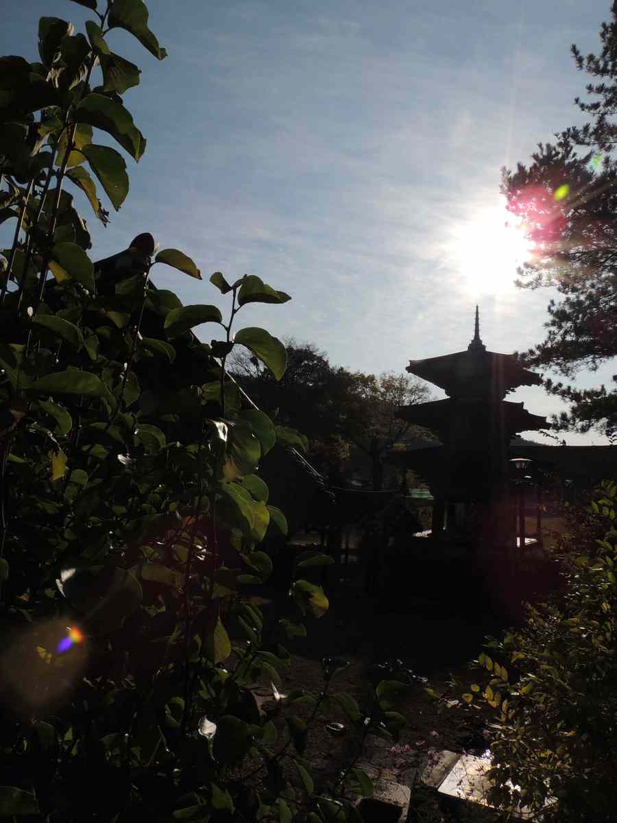 화순 계당산 쌍봉사