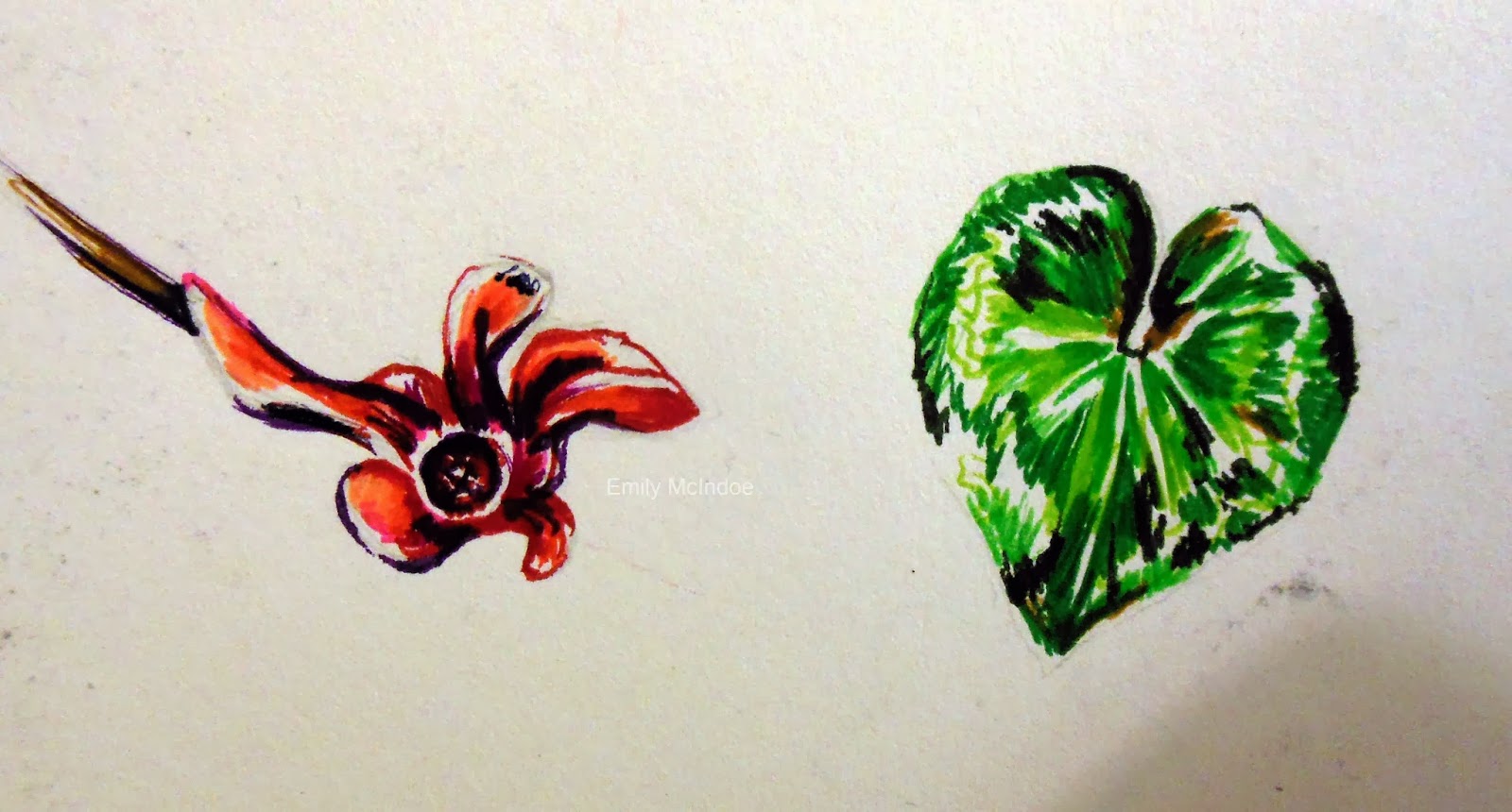 Flower Sketchbook Studies (2012)