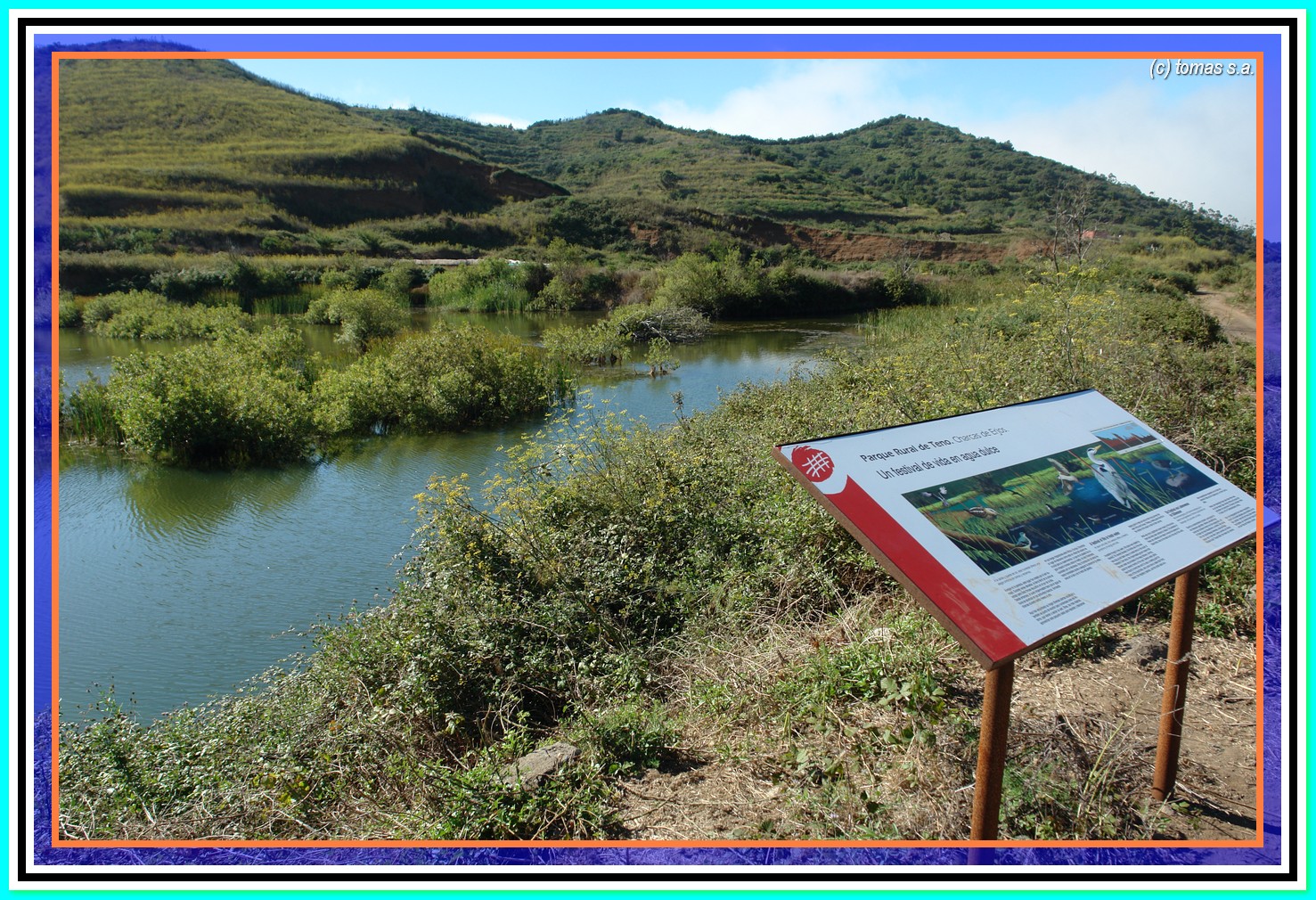 Tenerife senderos...... TENERIFE SENDEROS ERJOS CHARCAS DE ERJOS