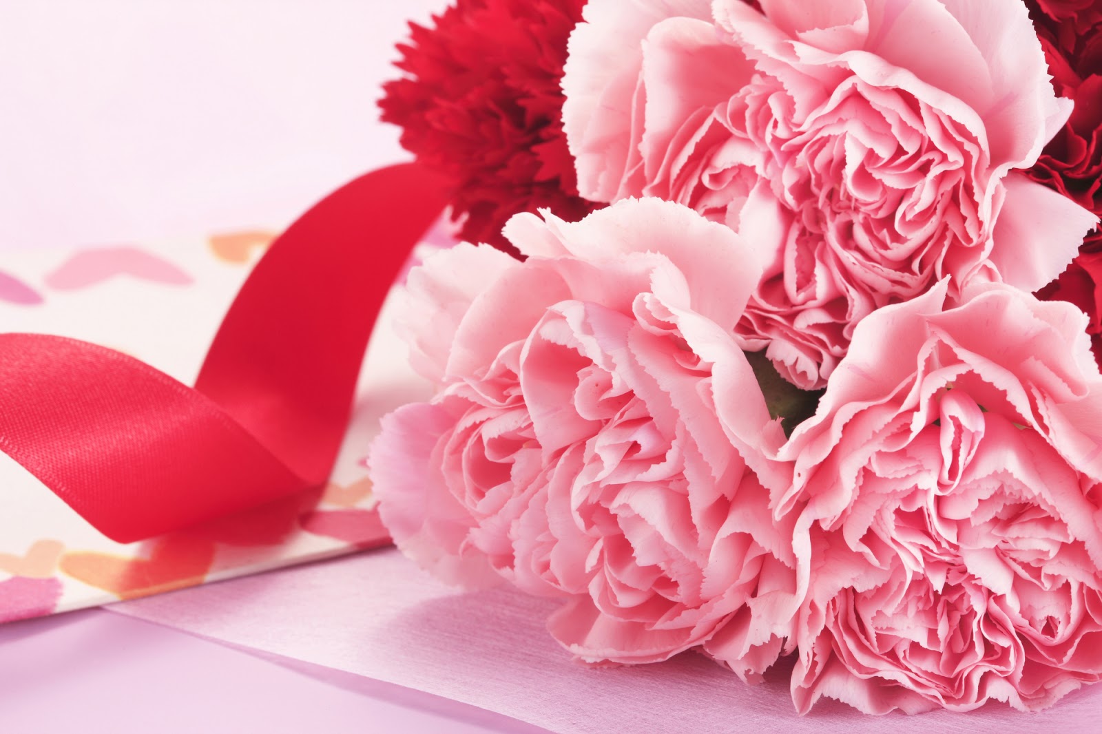 Peachtree Petals Blog 7 of the Longest Lasting Flowers For a Beautiful