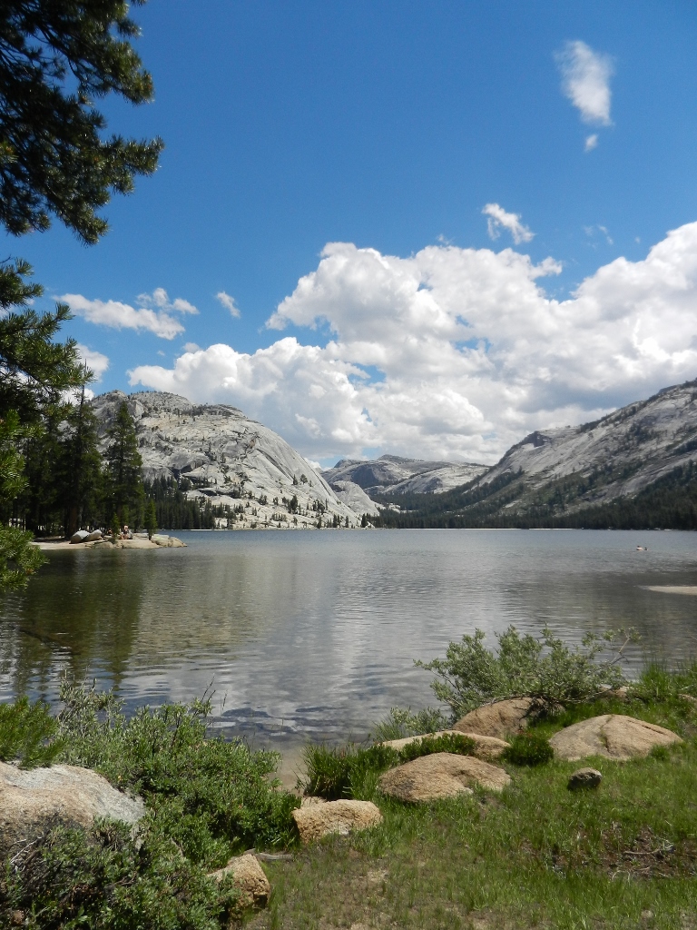 Yosemite National Park Tioga Pass Road Tenaya Lake