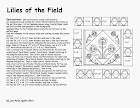 Lilies of the Field Pattern correction