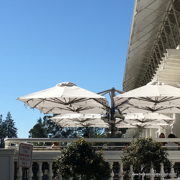 terrace at Limewood Bar & Restaurant at the Claremont Club & Spa, a Fairmont Hotel in Berkeley, California terrace at Limewood Bar & Restaurant at the Claremont Club & Spa, a Fairmont Hotel in Berkeley, California