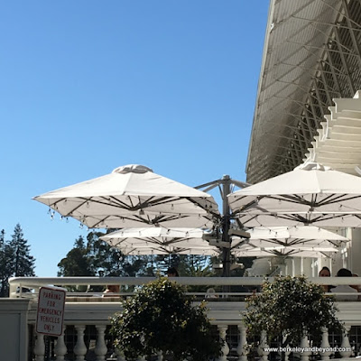 terrace at Limewood Bar & Restaurant at the Claremont Club & Spa, a Fairmont Hotel in Berkeley, California