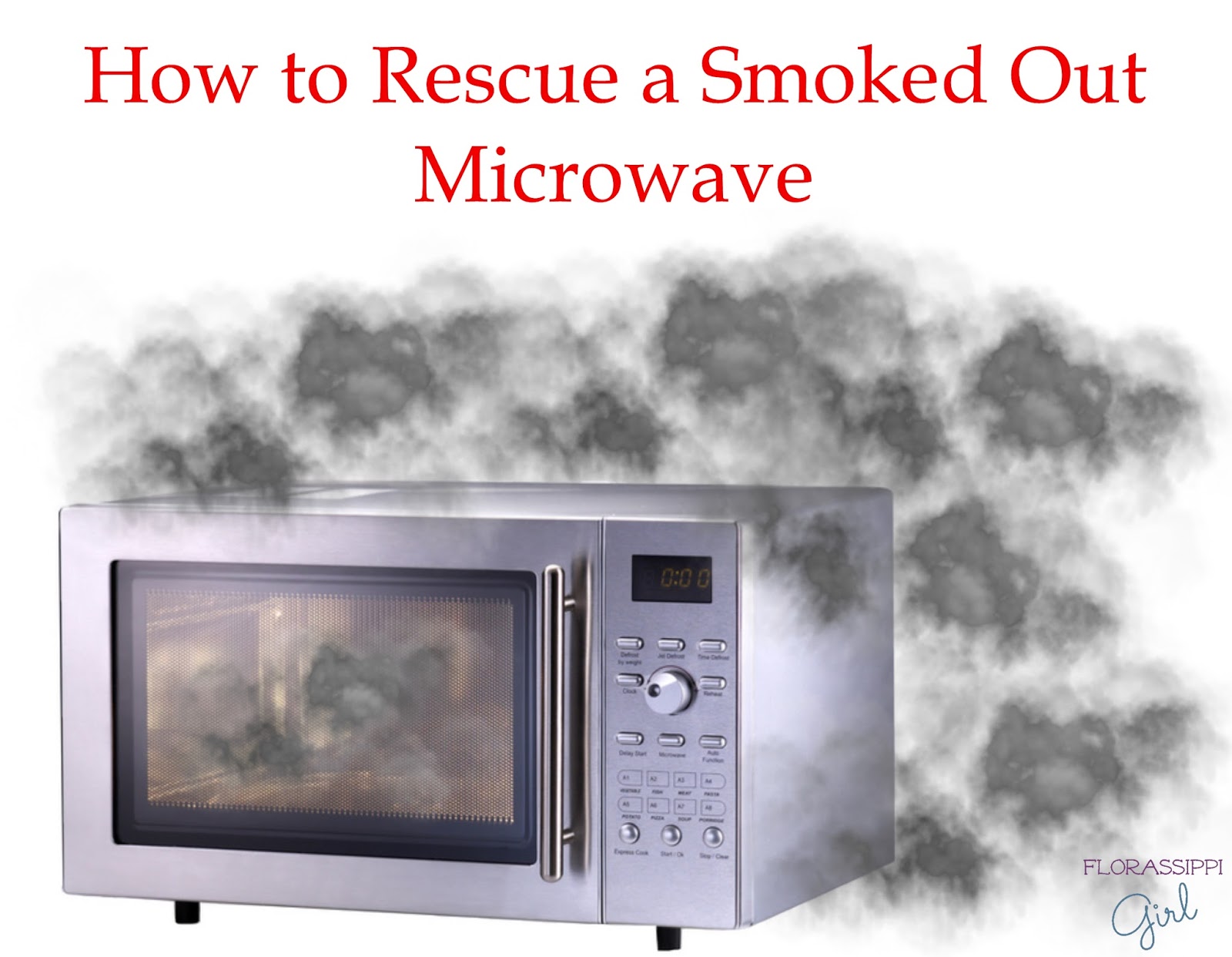 Florassippi Girl How to Rescue a Smoked Out Microwave