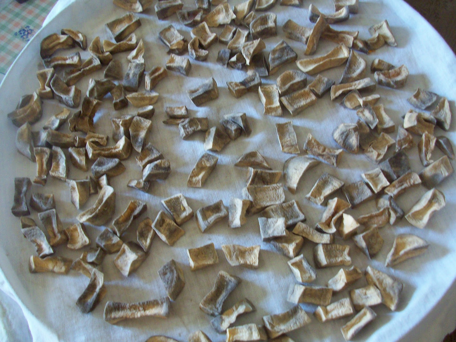 сушеные овощи. сушеные ягоды в сушилке. Ezidri fd500. вяленые томаты в электросушилке. обычный можно сушить.