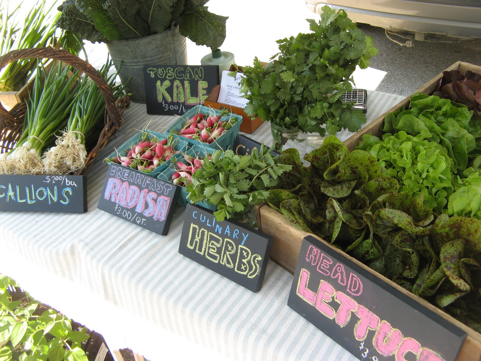 DAVID'S FOLLY FARM Back at the Farmer's Markets!!!