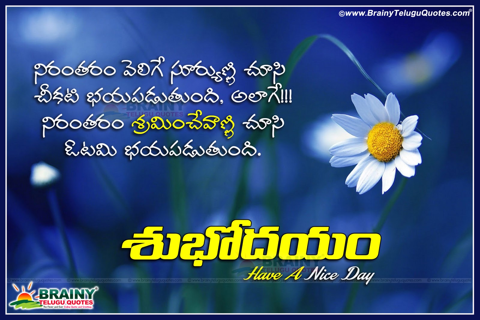 Good Morning Telugu Kavithalu with Inspirational success life quotes
