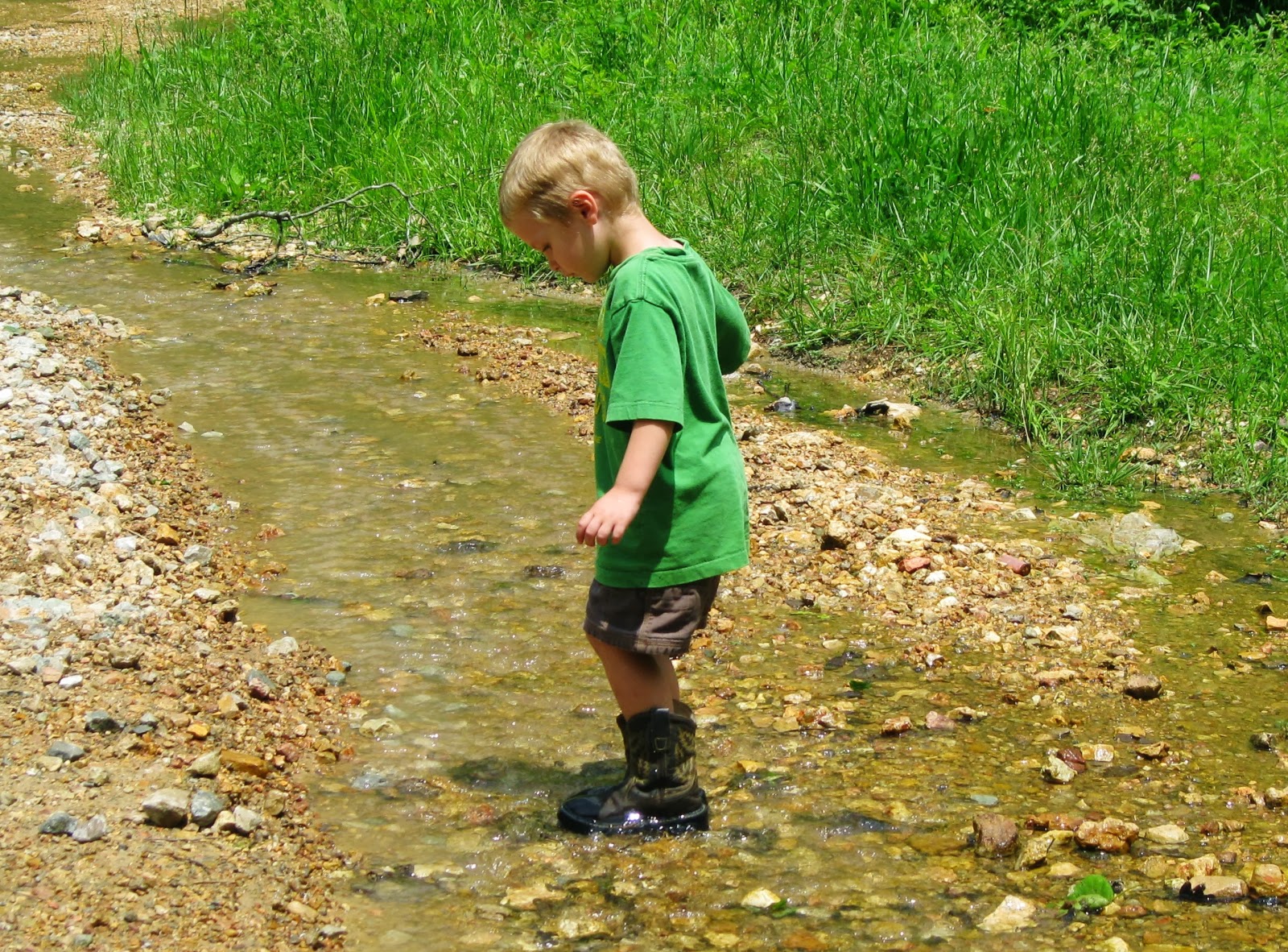 Adventures Among Us Photos of Sycamore Valley Artesian near Marquand, MO