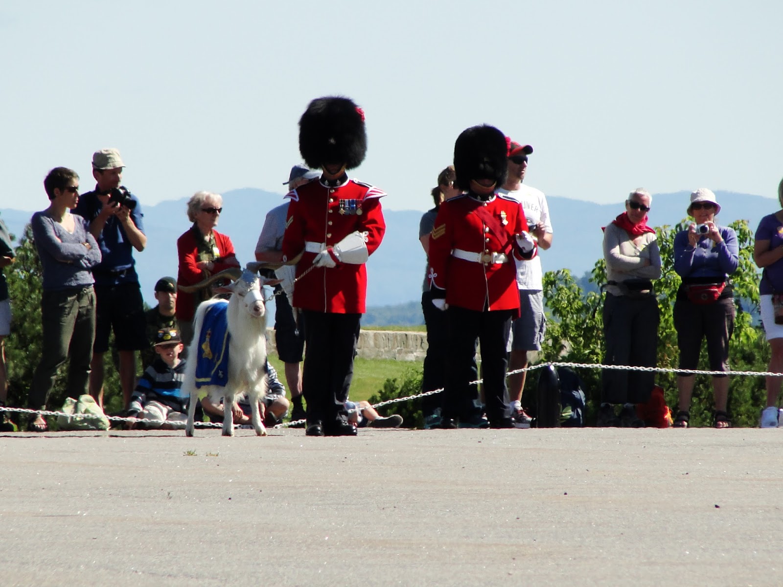 Changing of the Guards - and a goat! From Travel Writers' Secrets: Top Quebec City Travel Tips