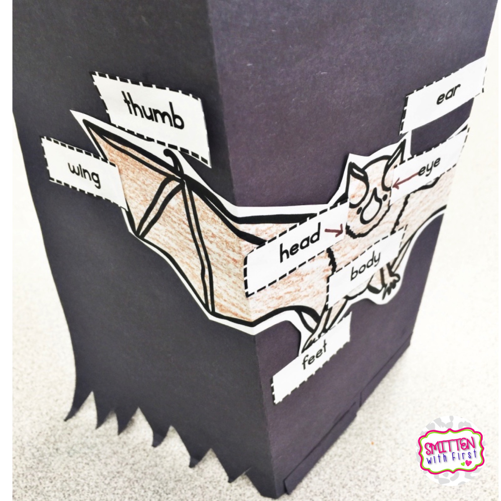 Bat Research FREEBIE, Bat Diorama, All About Bats