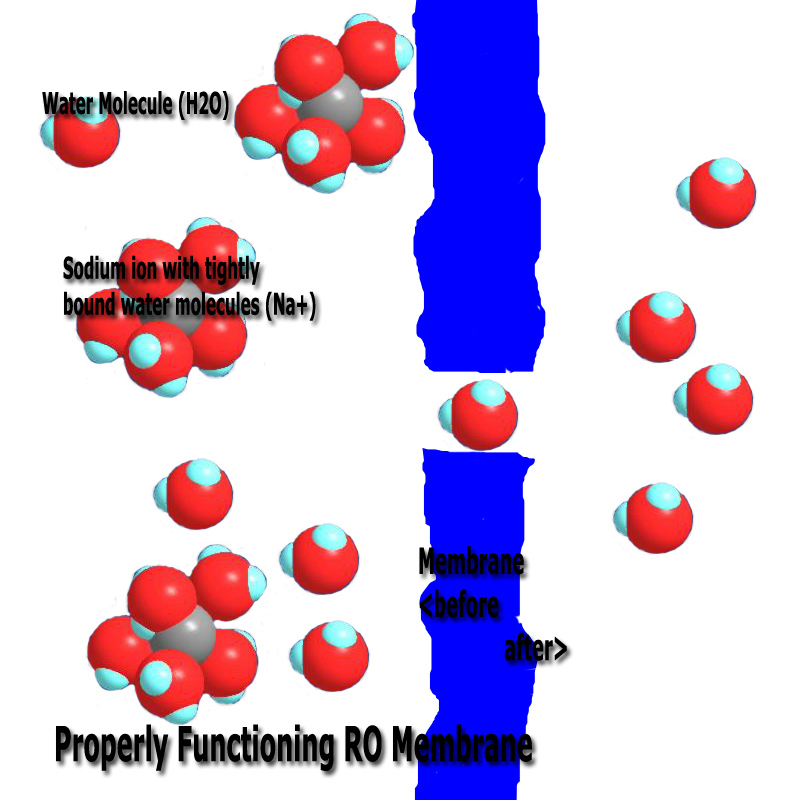 Heat shock response. Functions of application software. Необычные шаблоны для excel. Function properly. Cold shock proteins.
