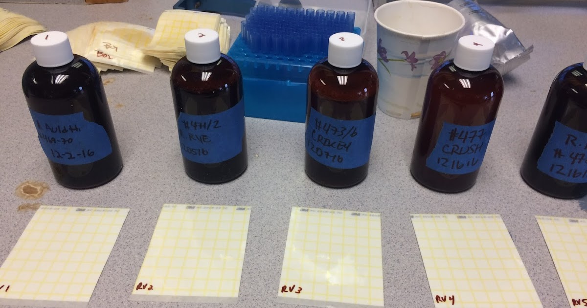 Jon's Brewing Experiments A Visit to a Real Beer Analysis Lab