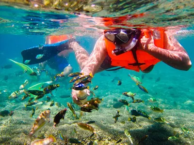 Snorkeling Gili Nanggu