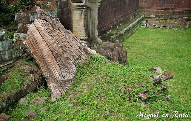 Angkor-nature-stone