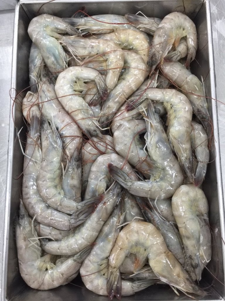 Indonesia Vannamei Shrimp Suppliers with Best Quality Export Product