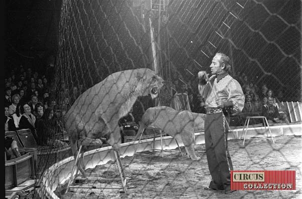 Les lionnes de Teresa et Henry Warwzyniak lors d'une représentation du cirque Knie