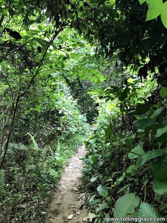 ttdi hiking trail