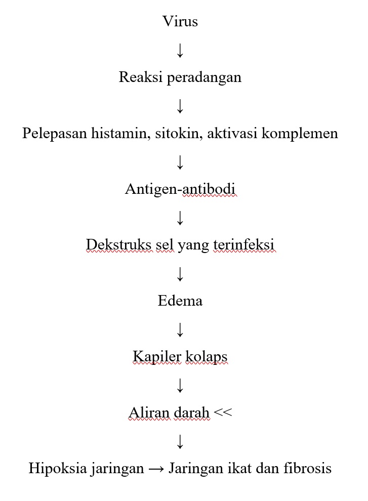 Hepatitis Akut Informasi Kedokteran Dan Kesehatan