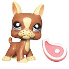 Littlest Pet Shop Singles Boston Terrier (#1789) Pet Littlest Pet Shop Singles Boston Terrier (#1789) Pet