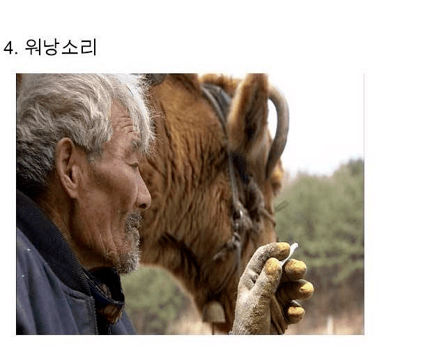 착하고 순하게 살면 안된다는 걸 보여주는 사례들