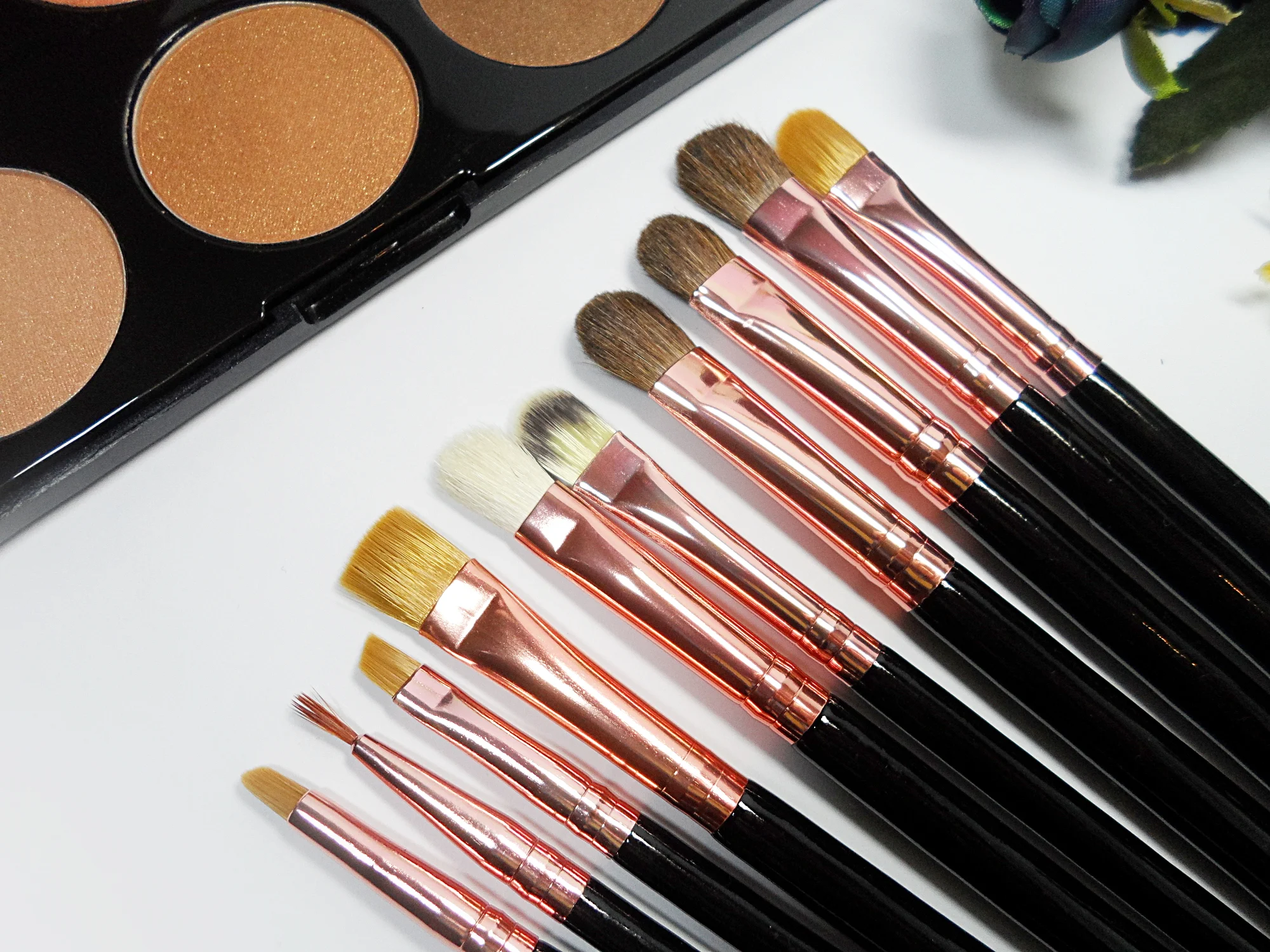 close-up picture of professional and affordale brushes laying on white background in a studio